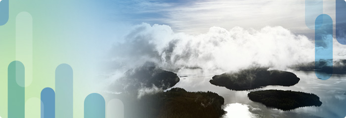 Your Cloud Strategy. Your Way.