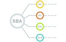Smart Business Architecture - February 2013 Series