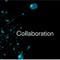 Collaboration At Every Level