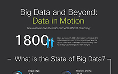 IT Managers Face Big Data