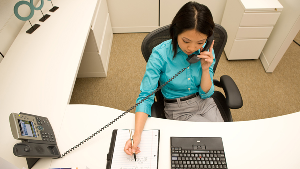 Wireless LAN voice options